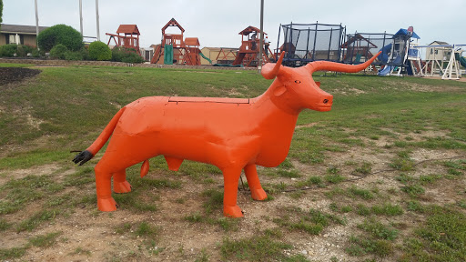 Orange Bull