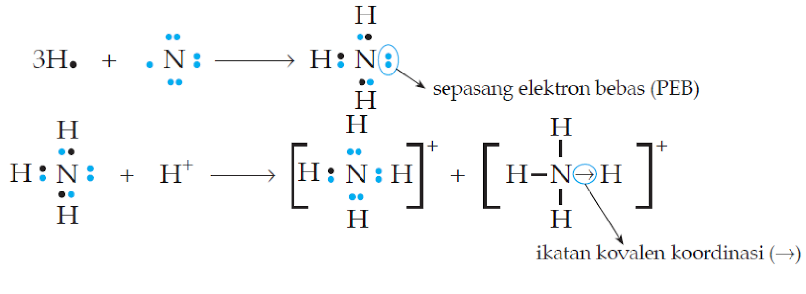 Схема образования молекул nh3. Схема образования химической связи nh3. H2o схема образования химической связи. Образование молекулы nh4+. Механизм образования молекул nh3.