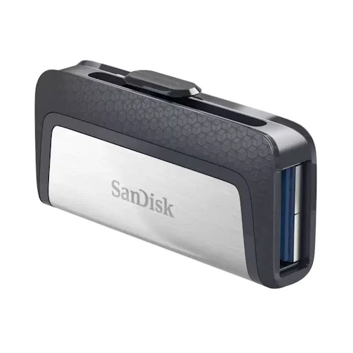 USB 256GB SANDISK SDDDC2-256G-G46