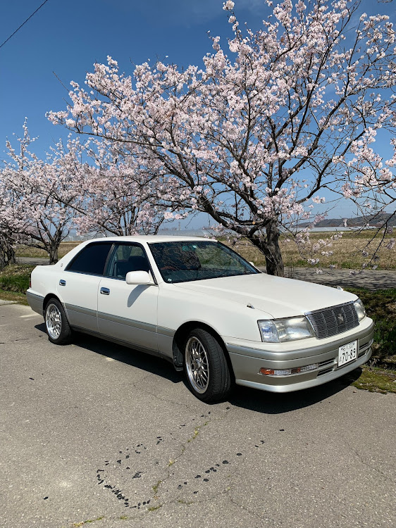 クラウンセダンの15クラウン・クラウン・桜とコラボ・サクラと愛車・桜に関するカスタム事例の投稿画像7枚目