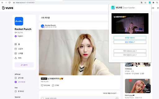 VLIVE Downloader