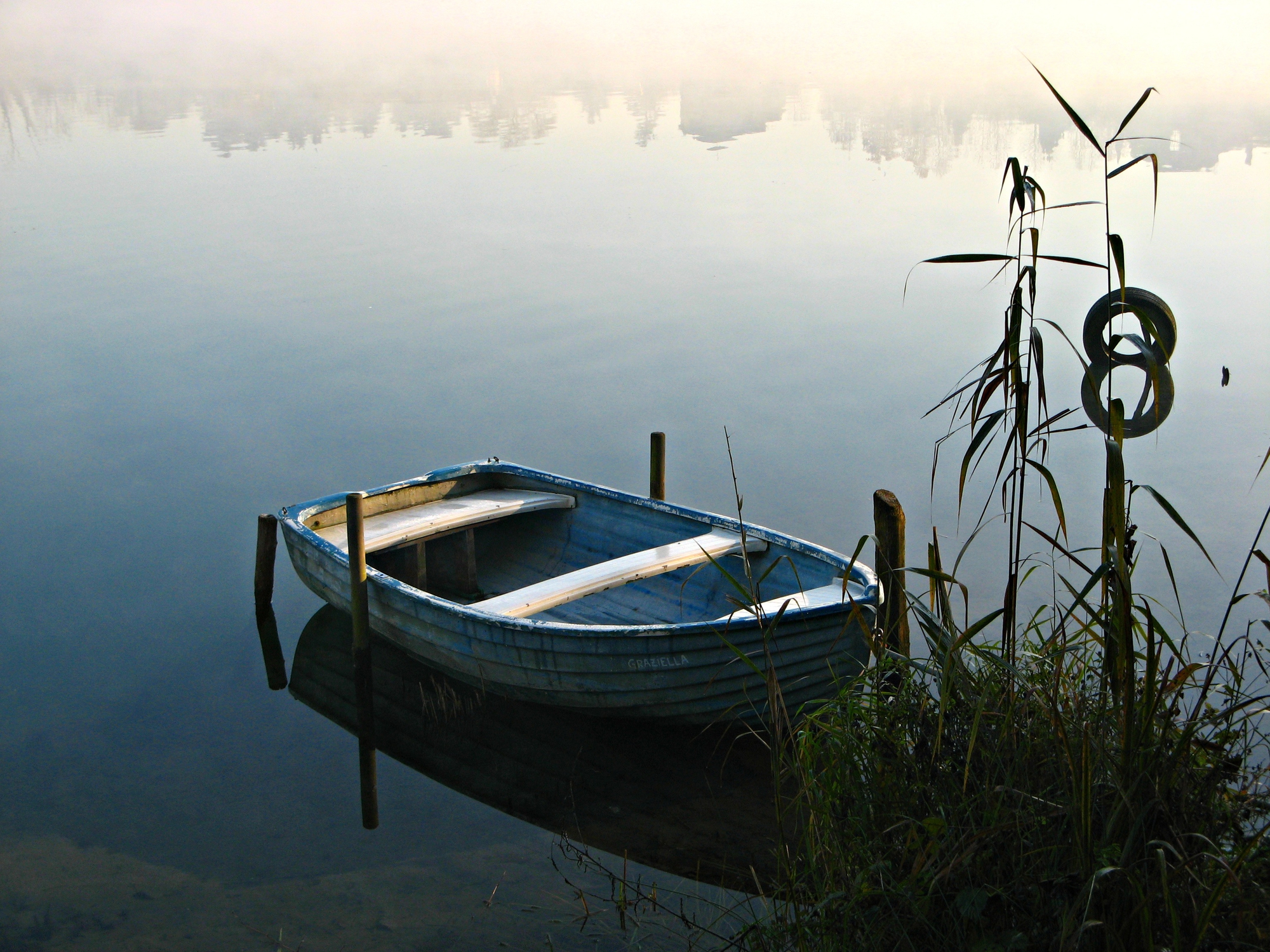 Assenza, mancanza, nostalgia ... di donyb