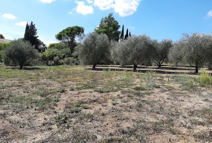  Vente Terrain à bâtir - 1 805m² à Grasse (06130) 