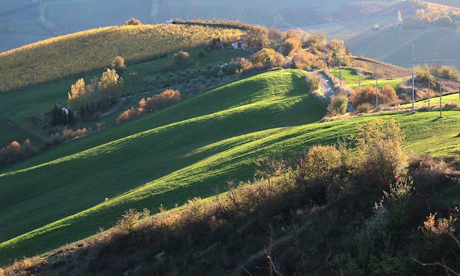 Colline agricole di MauroV