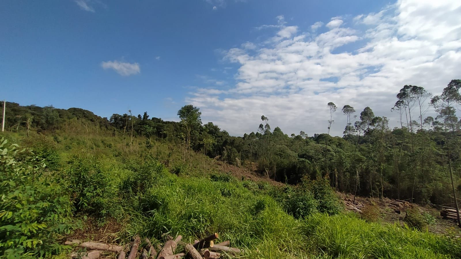 Áreas à venda Da Cachoeira