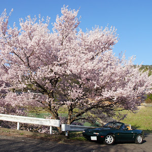 ロードスター NA6CE