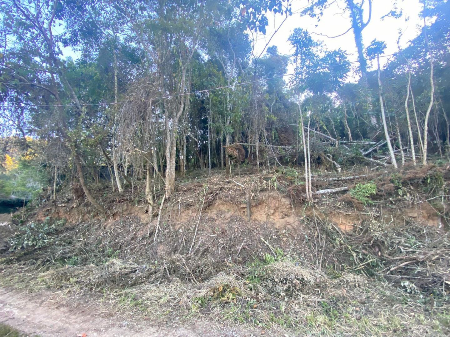 Terreno Residencial à venda em Fazenda Bela Vista, Nova Friburgo - RJ - Foto 7