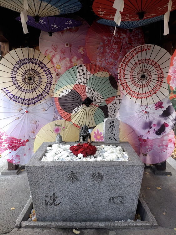 WiLLサイファの復活のお礼参り・花手水・飯テロ・スイーツテロに関するカスタム事例の投稿画像4枚目