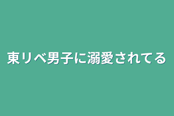 東リベ男子に溺愛されてる