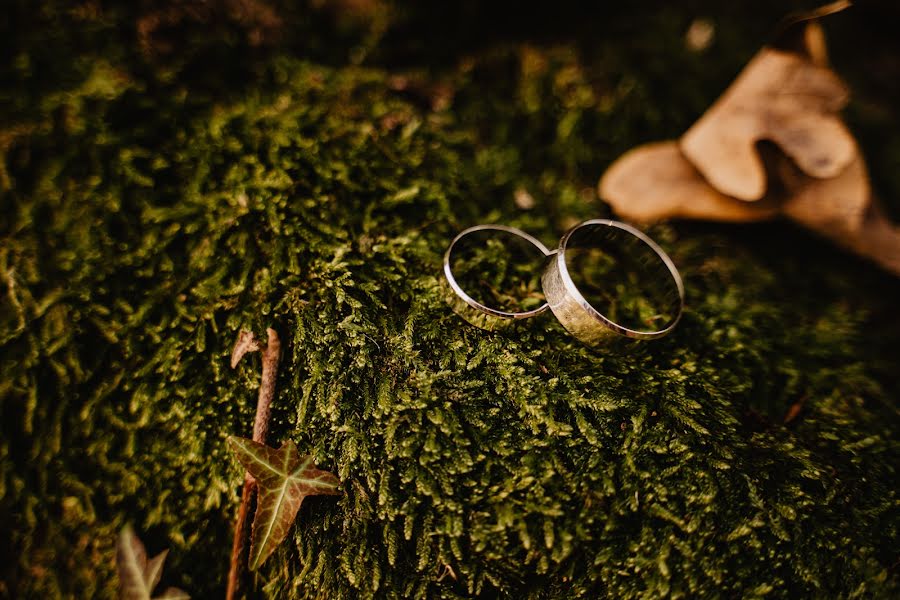 Photographe de mariage Olga Sinoverska (synolya). Photo du 7 février 2022