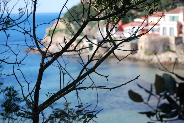 Cala di Forno di sforzial