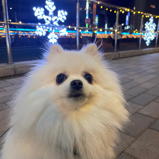 さつきてゃん🎀のプロフィール画像