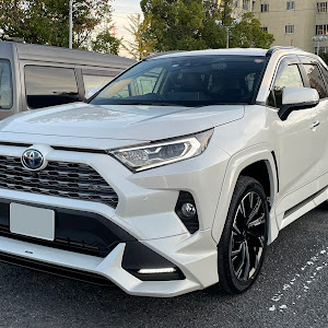 RAV4 AXAH54