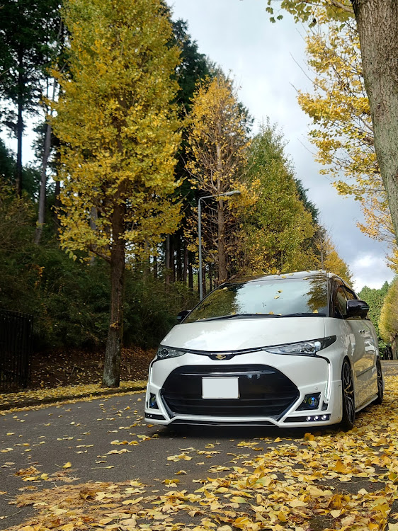 エスティマの男は黙って尻・12月もよろしくお願いします・落ち葉と愛車・気まぐれ更新に関するカスタム事例の投稿画像2枚目