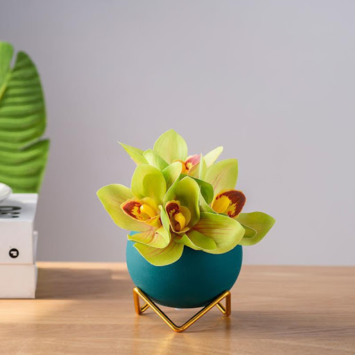 Title 5, Small Potted Plant Decoration Living Room Deskt...