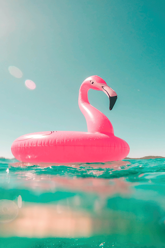 Summer Video Live Wallpaper