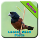 Download Lasser Seed Finch For PC Windows and Mac 1.0