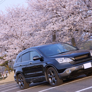 CR-V RE3