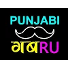 Punjabi gabru, Karkardooma, Vivek Vihar, New Delhi logo