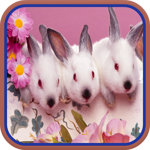 Puzzle Rabbit for kids