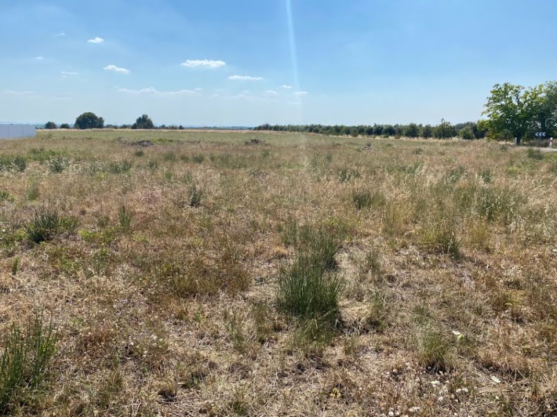 Vente terrain  1000 m² à Puimoisson (04410), 134 100 €