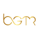 Download BGTR For PC Windows and Mac