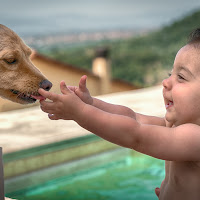 Amore a prima vista di giannigalliphoto