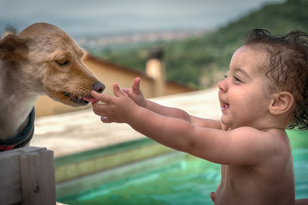 Amore a prima vista di giannigalliphoto