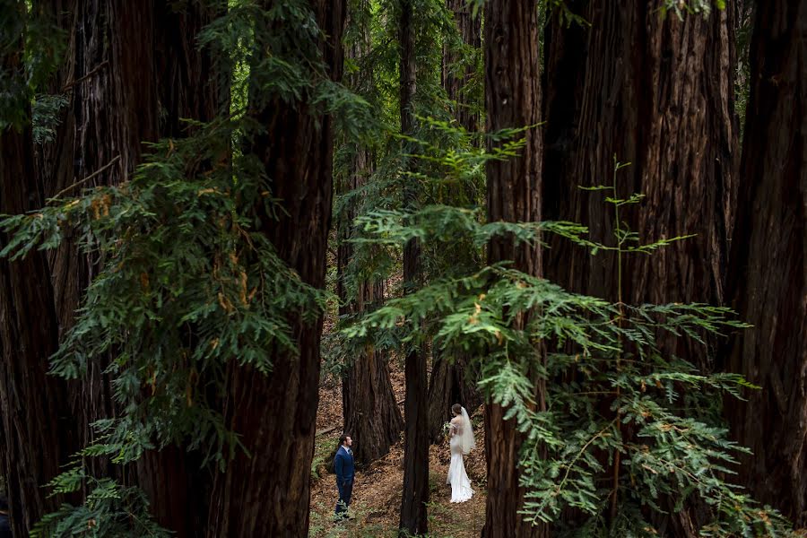 Wedding photographer Mauricio Arias (arias). Photo of 18 August 2020