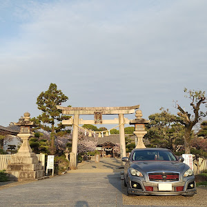 フーガ KY51