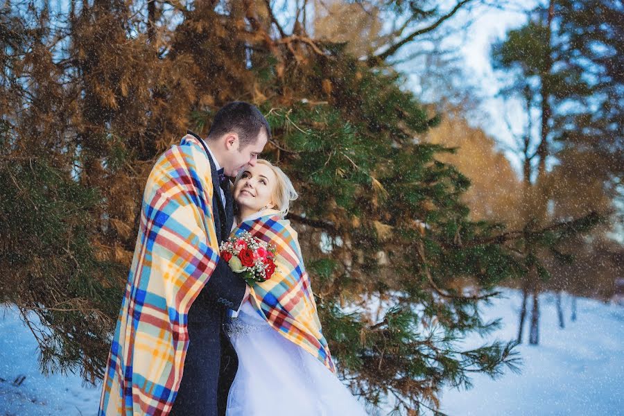 結婚式の写真家Dmitriy Sergeev (dsergeev)。2017 1月27日の写真