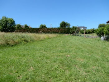 terrain à Yssingeaux (43)