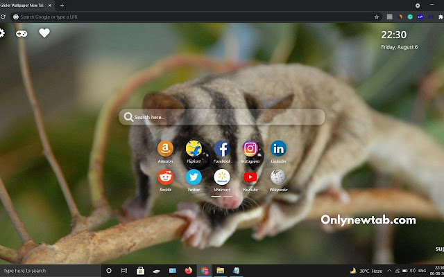 Sugar Glider Wallpaper New Tab Theme