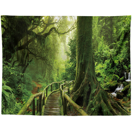 Title 16, Black and White Coconut Forest Landscape Tapest...