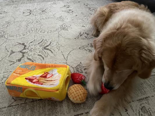 FRISCO Retro Waffle Box Hide & Seek Plush Puzzle Squeaky Dog Toy - Chewy.com