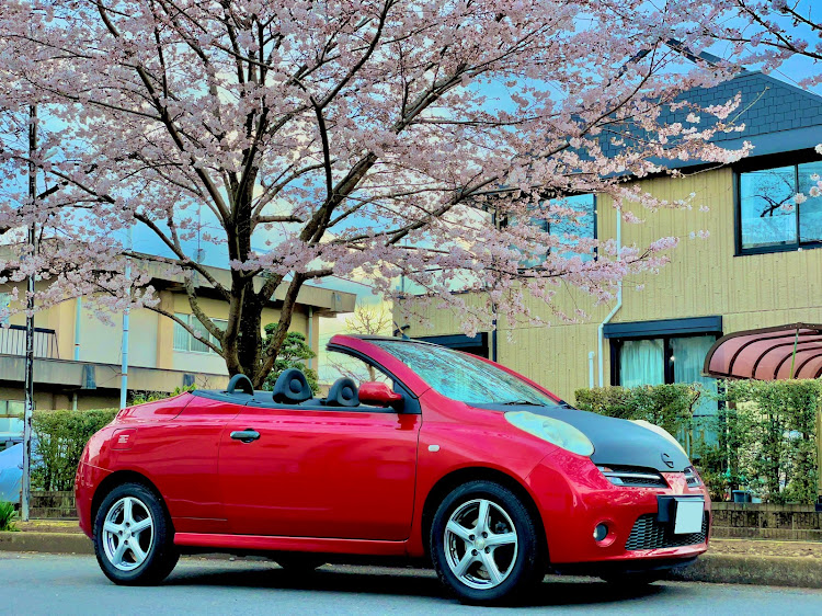マイクラC+Cのオープンカー女子・日産マイクラ・桜とコラボ🌸・サクラと愛車に関するカスタム事例の投稿画像3枚目
