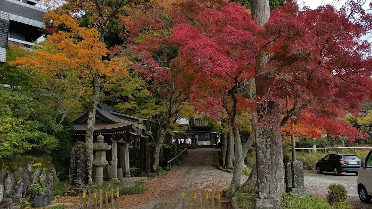 の投稿画像10枚目