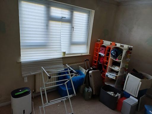 Mould treatment, new flooring, and decorating 