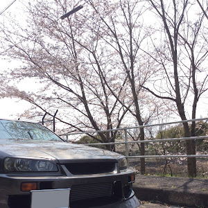 スカイライン R34