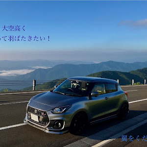 スイフトスポーツ ZC33S