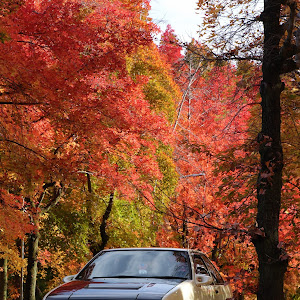 スプリンタートレノ AE86