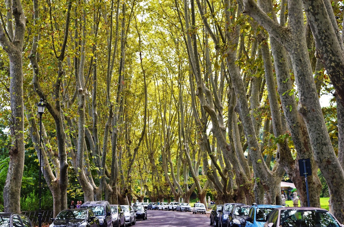 Roma. La dolce vita? Римские картинки (с Аппиевой дорогой, акведуками и пляжем)