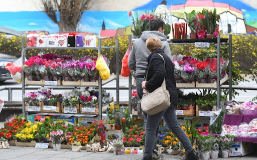 Konkurs za najbolju urbanu zelenu oazu od 25. maja u cilju ozelenjavanja urbanih sredina