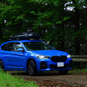 X1 xDrive 18d