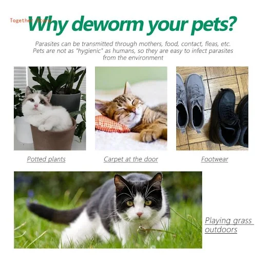 Pet Deworming Fleas Collar Portable Anti-Fleas and Prevention Mosquitoes Collar 6XDD