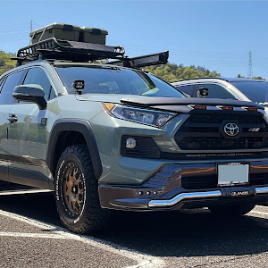 RAV4 MXAA54