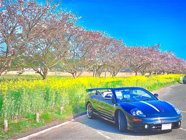 エクリプススパイダーの4月にエントリーします・カレンダーに載ってみたい・オープンカーの日・鉾田市PRに関するカスタム事例の投稿画像1枚目
