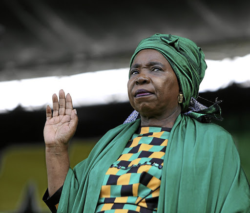 A group of ANC members in Eastern Cape who supported Nkosazana Dlamini-Zuma's bid to be party leader want the provincial executive committee to be disbanded.