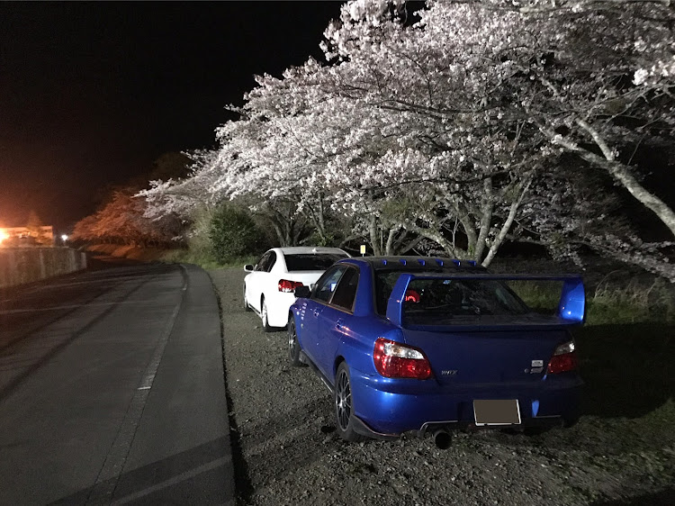 @つ〜さんが投稿した桜とコラボ・毎週恒例パイセンコラボwに関するカスタム事例の投稿画像5枚目
