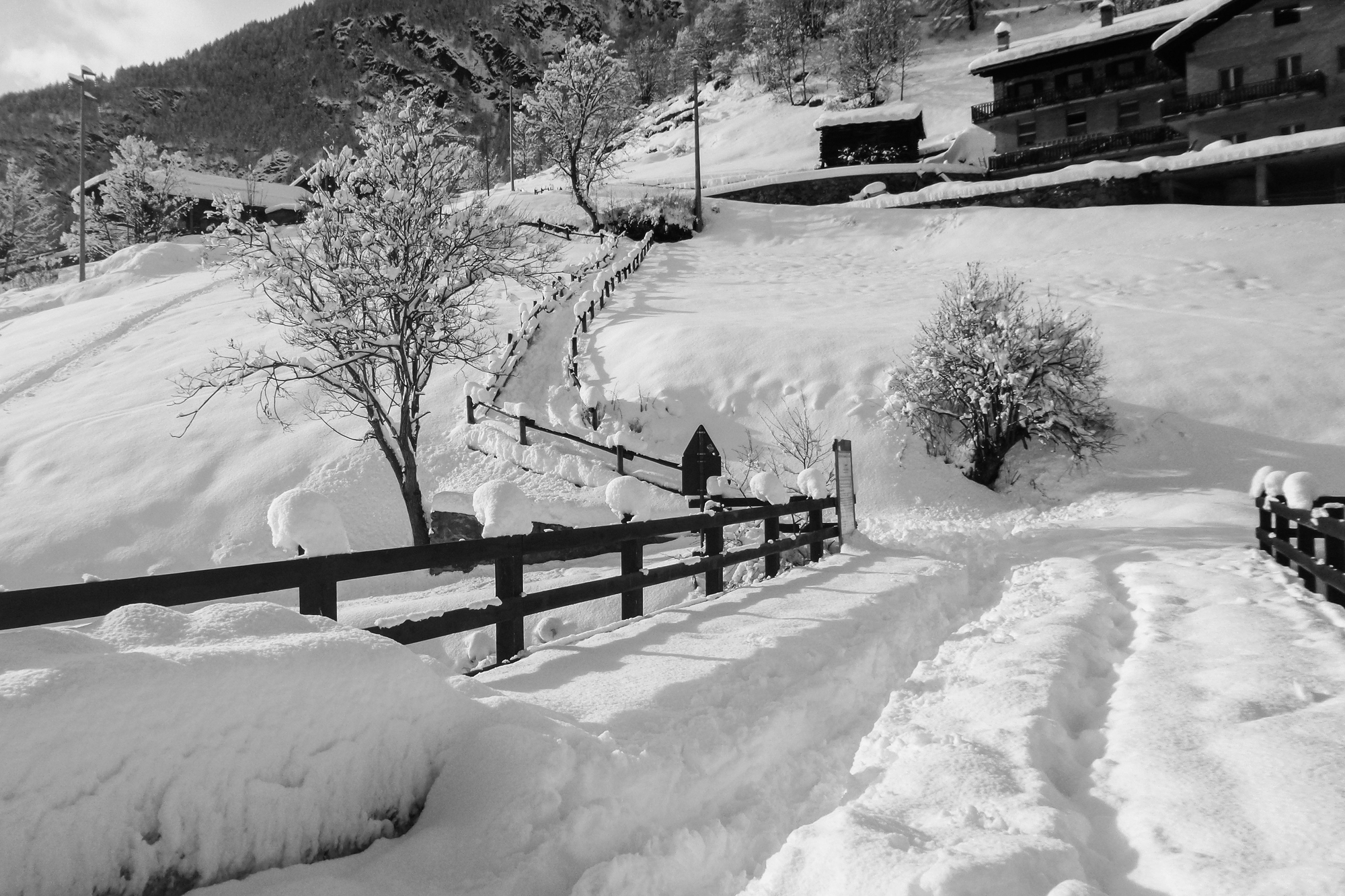 Valtournenche di Davide Alba Albanese